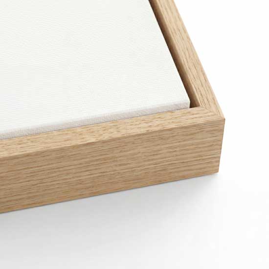Escape Canvas Wall Art Print